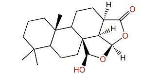 Dendrillol 1